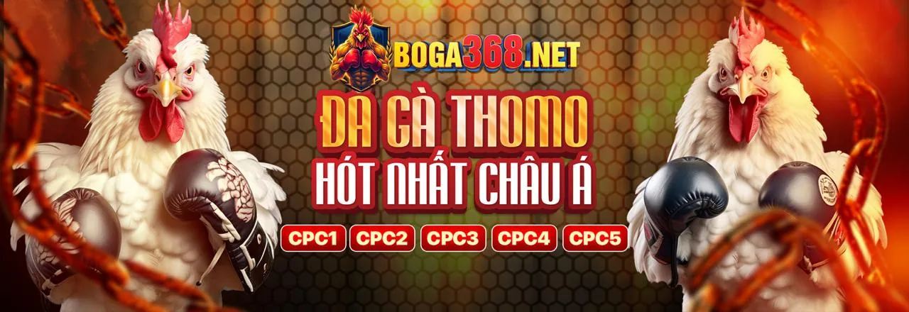 888b đăng nhập - Nền tảng giải trí trực tuyến hàng đầu Việt Nam